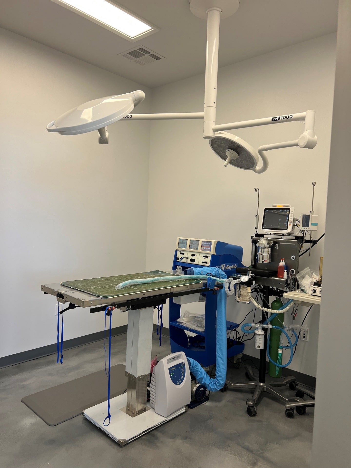 Veterinary Hospital Design
