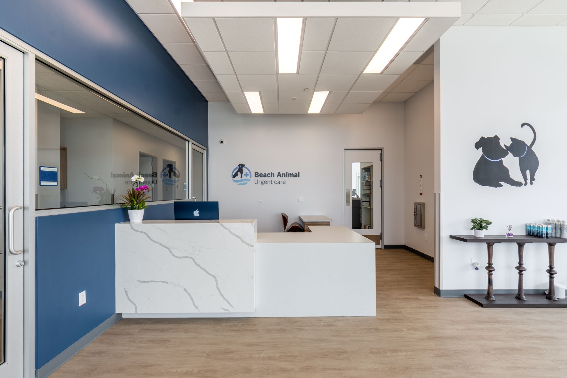 Veterinary Hospital Design