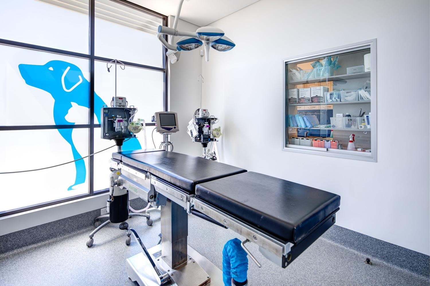 Veterinary Hospital Design